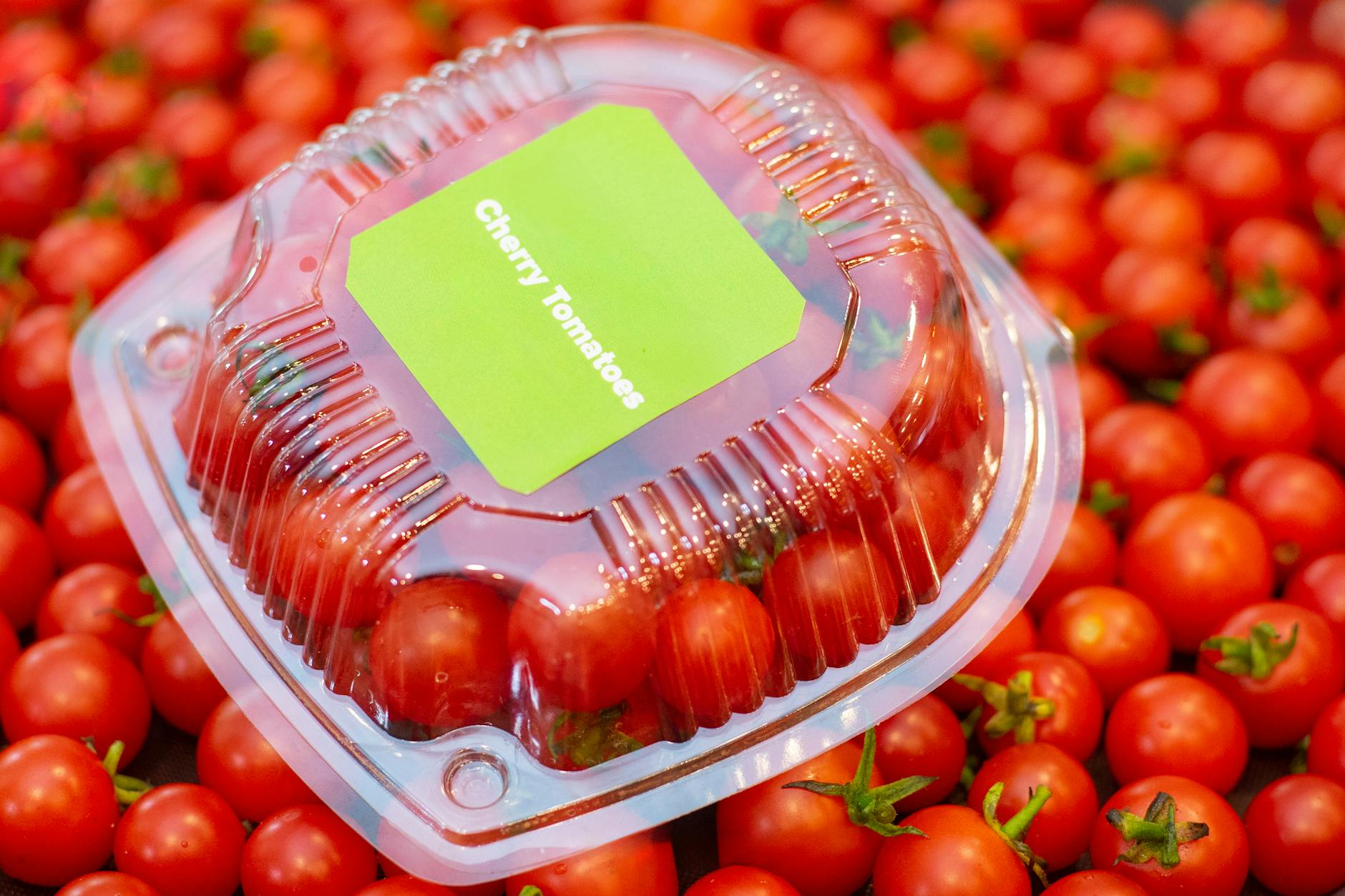 fresh cherry tomatoes packaged in indonesia
