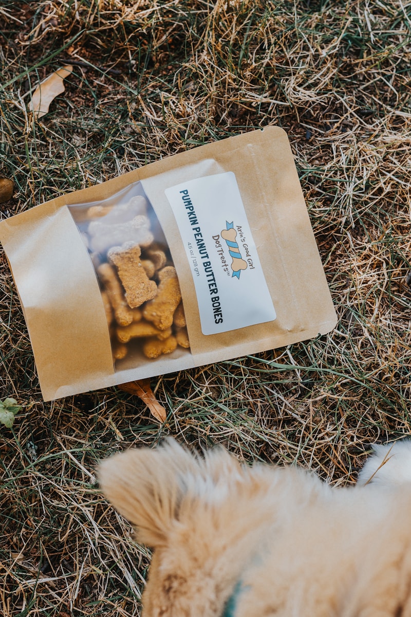 Dog treats on grass with a dog's head
